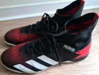 Adidas Predator Gr.45 1/3 Sportschuhe Nordwestmecklenburg - Landkreis - Grevesmuehlen Vorschau