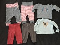 Baby Hose,Leggings ,Langarmshirt Gr.62 Baden-Württemberg - Bubsheim Vorschau