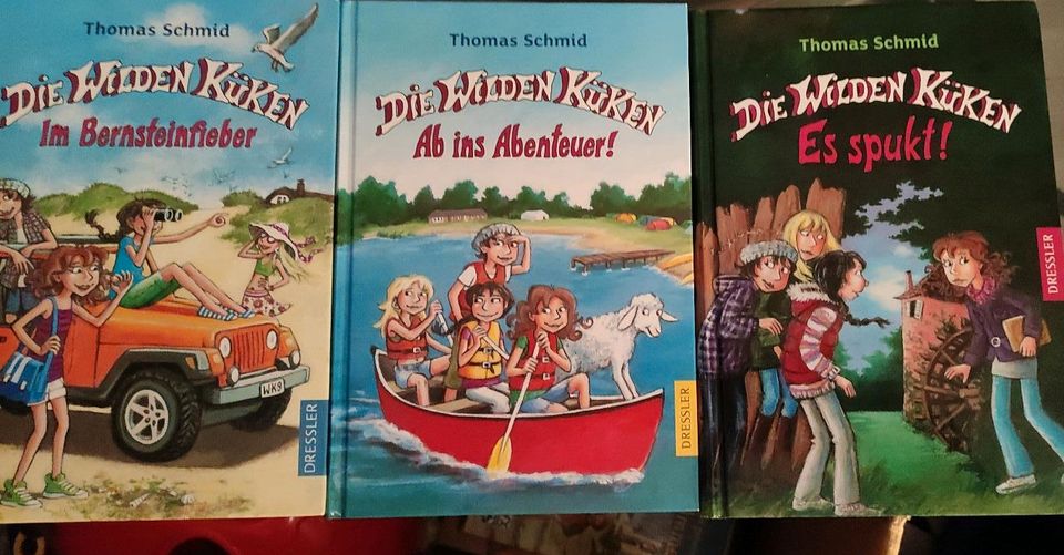 Kinderbuch Jugendbuch Die wilden Küken - 4 Bände in Burladingen