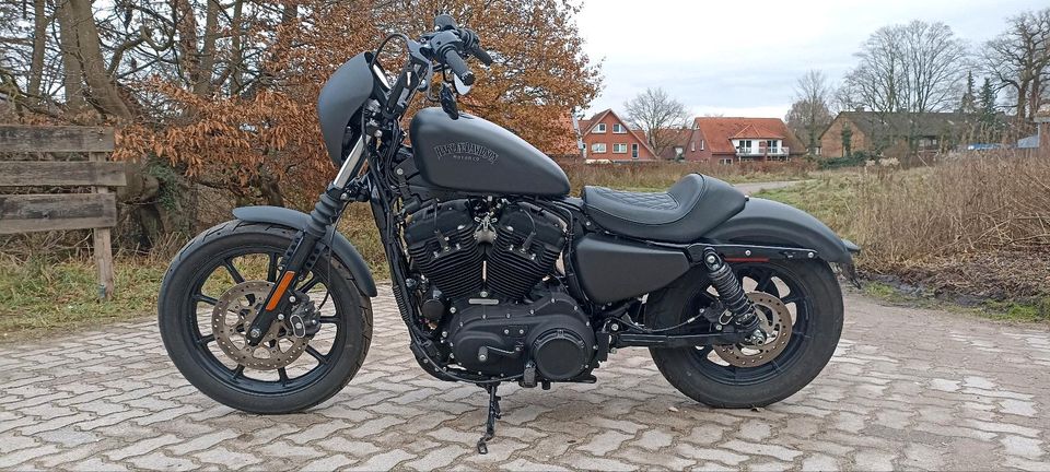Harley Davidson Sportster 1200 Iron in Seevetal