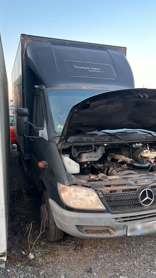 Mercedes Sprinter 416Cdi Koffer mit Ladebordwand in Hamburg