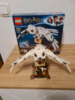 Lego Harry Potter 75979 Hedwig Baden-Württemberg - Eschelbronn Vorschau