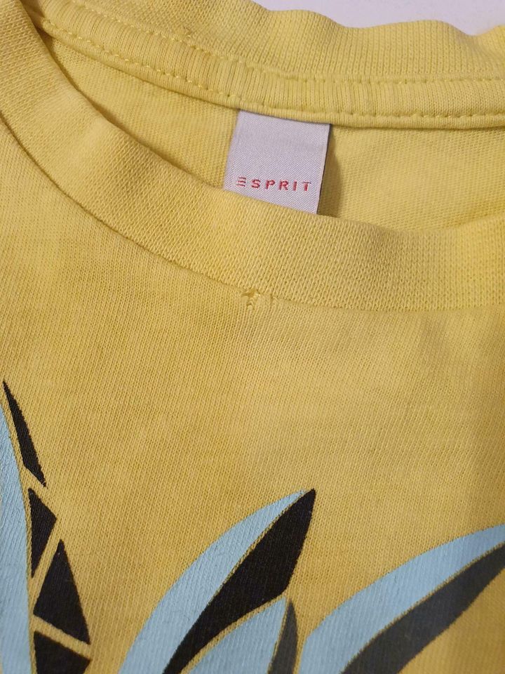 T-shirt Esprit gr.104/110 in Eching (Niederbay)