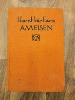 Hanns Heinz Ewers "Ameisen" Kaisersesch - Schöne Aussicht, Gem Masburg Vorschau