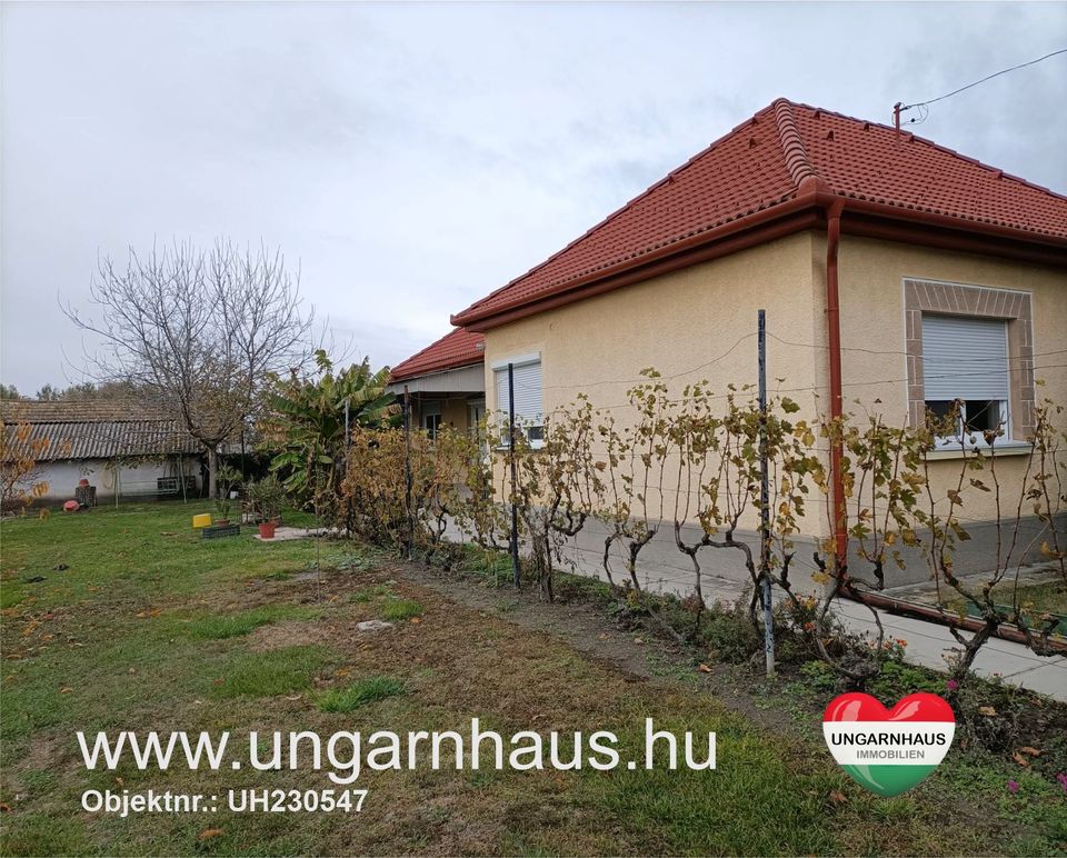 Haus in Ungarn , Südungarn => Toller Zustand , auch für Selbstversorger<= inkl. 4100 qm Grundstück in ruhiger Lage in Freudenberg