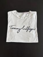 Tommy Hilfiger T-Shirt Shirt Größe M Bayern - Haßfurt Vorschau
