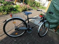 Herren Fahrrad 28" CONQUEST 3 Gang Schaltung neu Bayern - Atting Vorschau