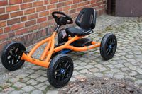 Berg Kettcar Buddy orange Bergtoys NEU Dinocar Kinderfahrzeug Nordrhein-Westfalen - Billerbeck Vorschau