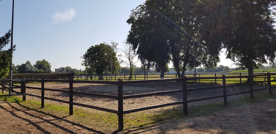 5 Pferdeboxen mit Fenster in Privatstall mit Reithalle in HP in Kevelaer