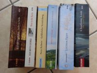 Bücher - Krimis - histor. Romane - Taschenbücher - Urlaubslektüre Kr. Landshut - Furth Vorschau