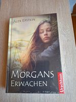 Historischer Roman "Morgans Erwachen" von Alex Epstein *NEU* Sachsen - Bad Dueben Vorschau