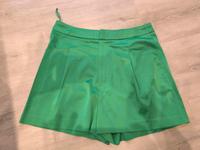Zara Shorts Größe M grün Satin neuwertig Baden-Württemberg - Ehingen (Donau) Vorschau