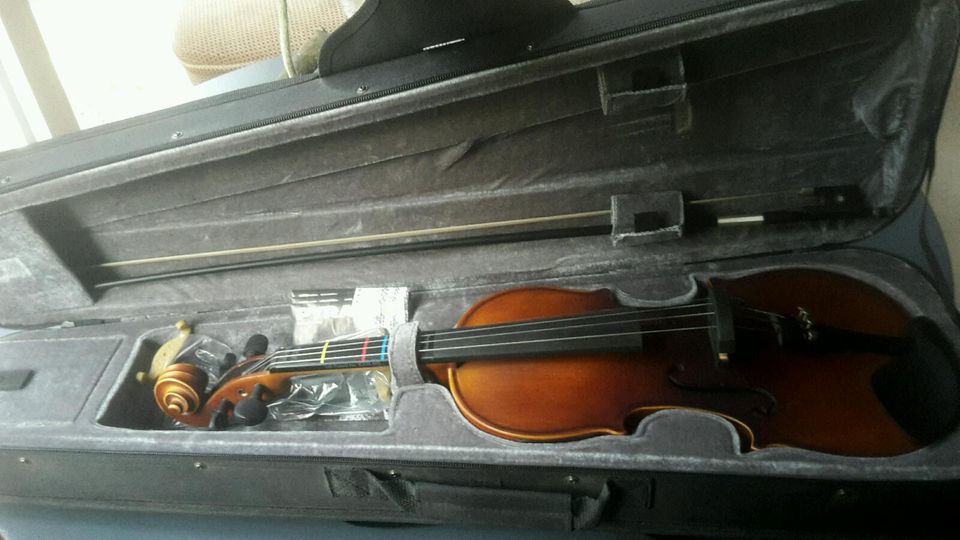 Harley Benton HBV 800 4/4 Violine elektrisch in Blomberg