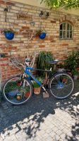 Herren Fahrrad , Pegasus, 28 Zoll , sehr guter Zustand Sachsen-Anhalt - Quedlinburg Vorschau