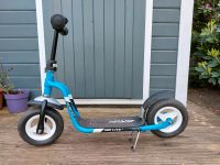 Puky Roller Scooter R03 Air lite blau ab 3 Jahren Schleswig-Holstein - Elmshorn Vorschau