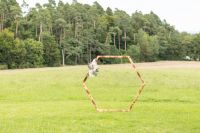 Traubogen / Hexagon aus Holz für Hochzeit etc. Baden-Württemberg - Herrenberg Vorschau