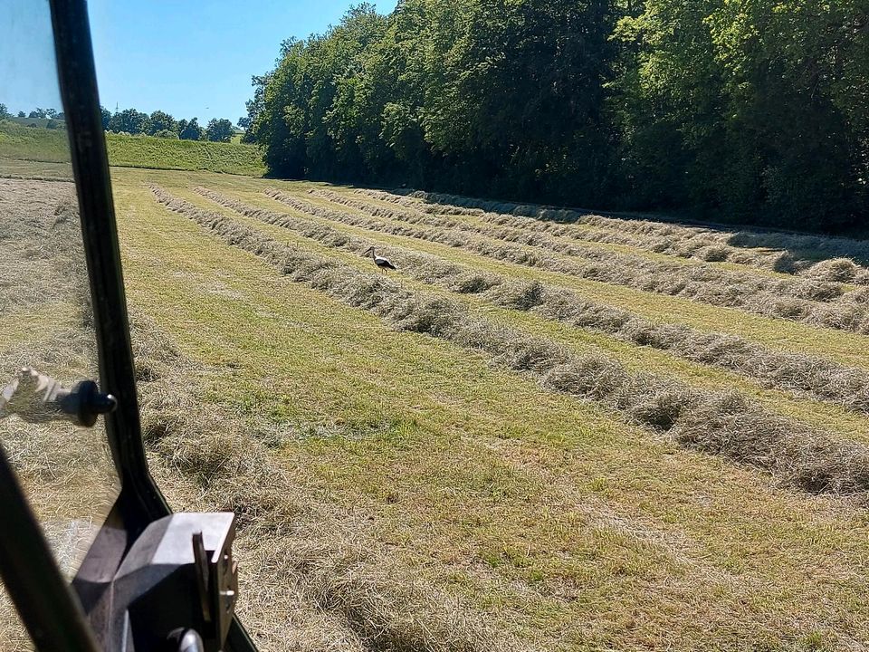 Verkaufe kleine HD Ballen Heu Ernte 2023 in Karlsbad