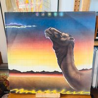 Camel ‎– Breathless  Prog Rock  LP  Vinyl  Schallplatte Berlin - Reinickendorf Vorschau