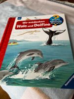 Buch- Wir entdecken Wale und Delfine/WiesoWeshalbWarum Wiesbaden - Nordenstadt Vorschau