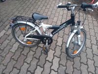 Fahrrad,  Kinderfahrrad,  Pegasus Schleswig-Holstein - Owschlag Vorschau