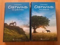 Buch Ostwind je 4€ Orkan Ankunft Sachsen - Pausa/Vogtland Vorschau
