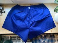 Original DDR Turnhose Sporthose Dresden - Pieschen Vorschau