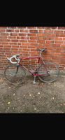 Tolles Vintage Rennrad von Koga Miyata, 58cm Rahmenhöhe Schleswig-Holstein - Kiel Vorschau