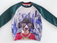 Sweater Gr.110 Baden-Württemberg - Remseck am Neckar Vorschau