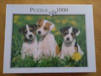 Neu Puzzle Jack Russel Welpen OVP 1000 Teile Nordrhein-Westfalen - Nottuln Vorschau