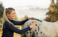 Ganzheitliche Pferdeosteopathie für dein Pferd Nordrhein-Westfalen - Schmallenberg Vorschau