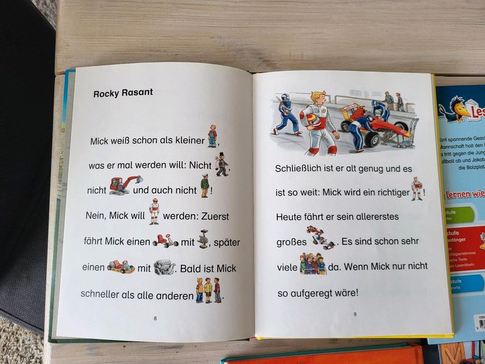 Kinderlesebücher 1. und 2. Lesestufe in Husby