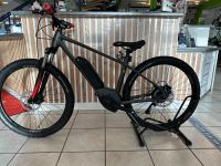 E-Bike Bulls LT CX 29 und 27.5 545WH UVP 3199€ Sonderaktion Bayern - Nördlingen Vorschau