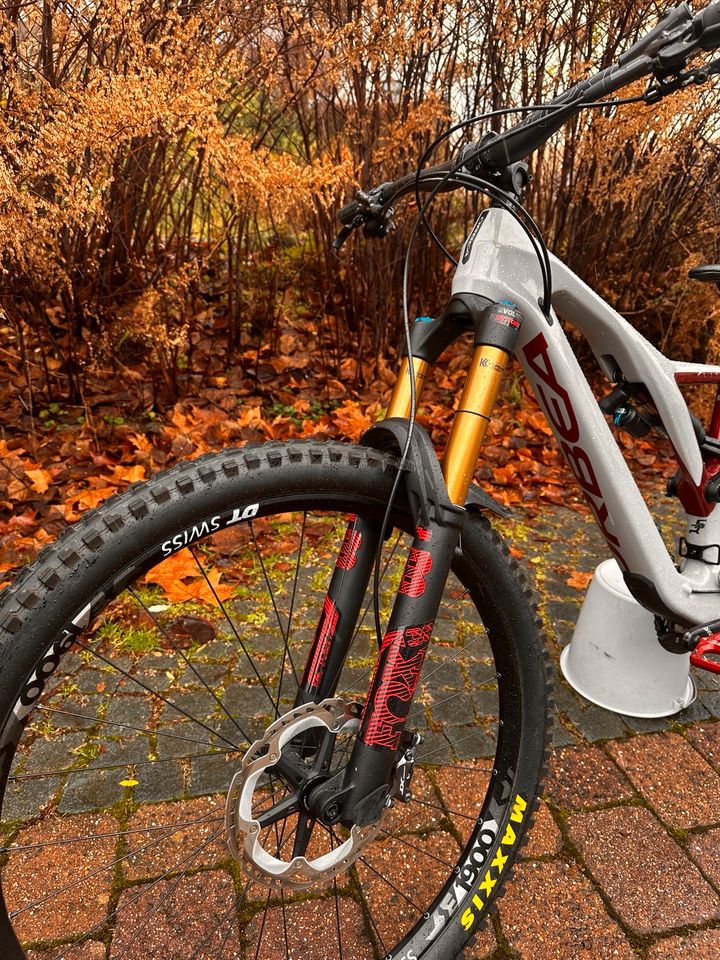 Orbea rallon 2020 Größe L in Freisen