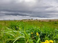 Baugrundstücke in Drochtersen, Triftweg "Randlage" Niedersachsen - Drochtersen Vorschau