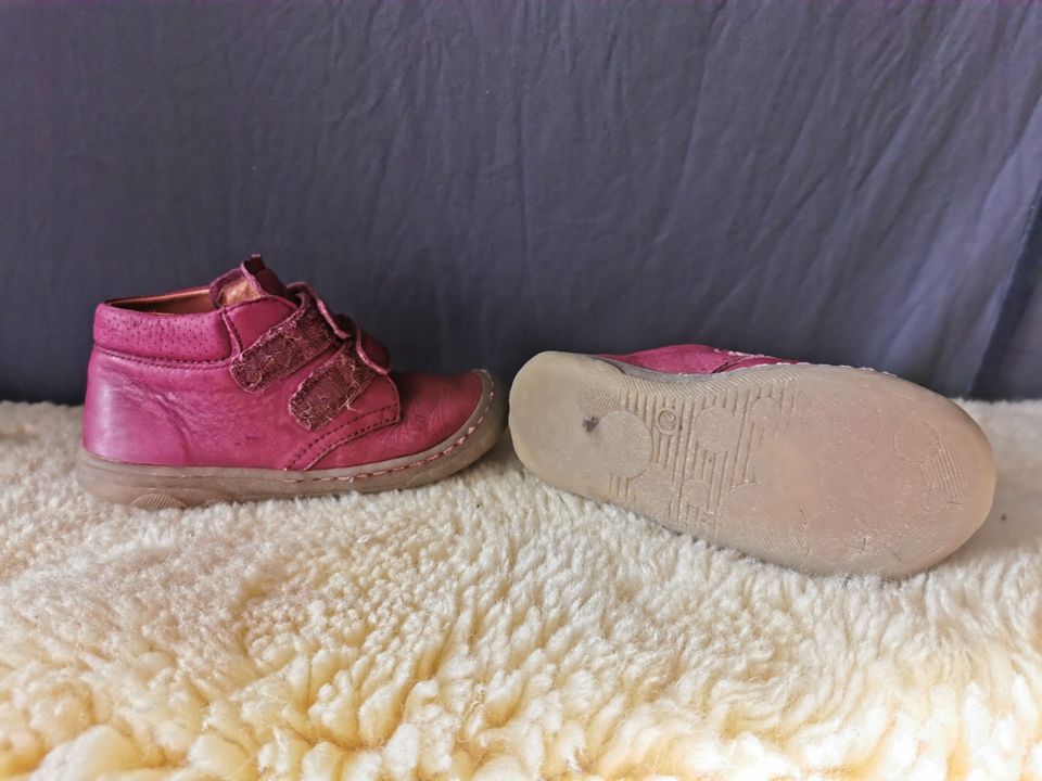 Froddo Barefoot - Kinder Barfußschuhe - 27 - weinrot - Halbschuh in Kassel