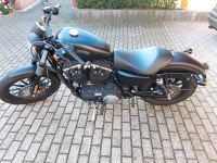 Harley Davidson Sachsen - Ottendorf-Okrilla Vorschau