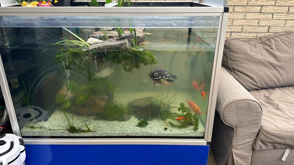 Aquarium leer ohne Zubehör in Hemer