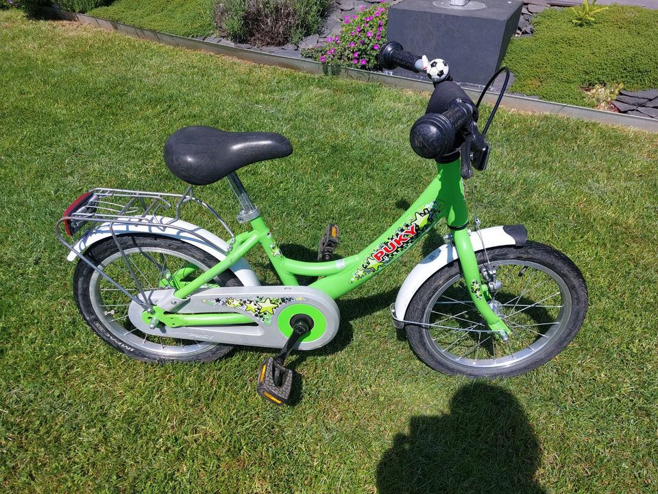 Puky Fahrrad 16 Zoll Rücktritt (guter Zustand) Kinderfahrrad in Bad Homburg