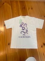 Aries Laocoonte T-Shirt XS Brandenburg - Panketal Vorschau