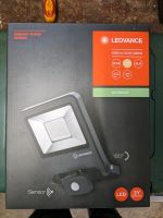 Ledvance Endura Flood Sensor 50W, Flutlicht Schleswig-Holstein - Fockbek Vorschau