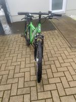 Fahrrad grün Prince Nordrhein-Westfalen - Gelsenkirchen Vorschau