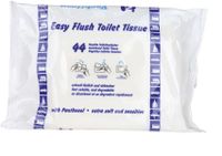 20Pakete Easy Flush Feuchte Toilettentücher MHD 09/23 Frachtfrei Schleswig-Holstein - Norderstedt Vorschau