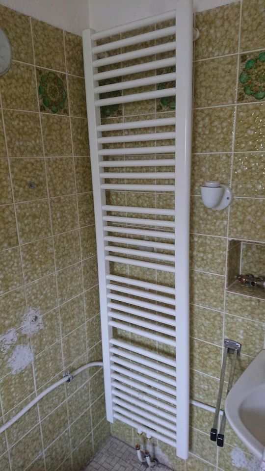 Heizkörper Bad für Handtücher in Landau in der Pfalz