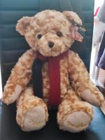 Schöner Douglas Teddybär von 2002 Bayern - Elsenfeld Vorschau