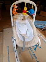 Babywippe Winnie Pooh Nordrhein-Westfalen - Ennepetal Vorschau