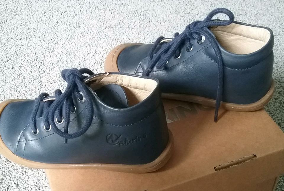 Naturino Lauflernschuhe Sneaker *Cocoon* Farbe navy - dunkelblau in Schalksmühle