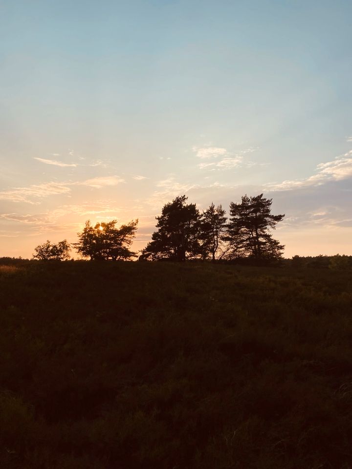 Urlaub mit eigenem Pferd - Kirchdorferheide in Kirchdorf