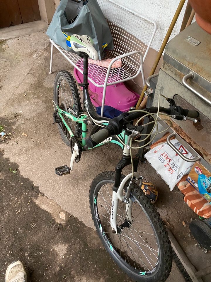 Cabriolet CTX 240 Fahrrad in Zerf