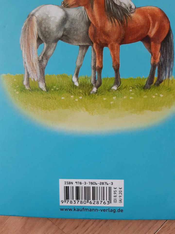 Freunde- Buch Pferde, Zwillinge in Bad Lobenstein
