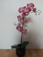 Kunstpflanze Orchidee pink mit Übertopf Bayern - Ebern Vorschau
